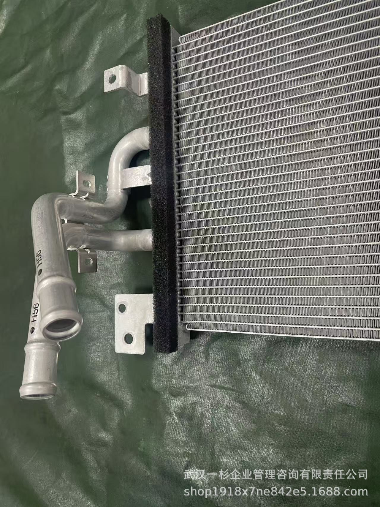 Direct sales from the original manufacturer H56A1301001AA 130101003 Lantu Dreamer Hybrid Low-Temperature Radiator