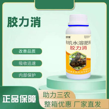 �z�������z���׃��Ҙ�������z����һ�������Ә��Ә����500��