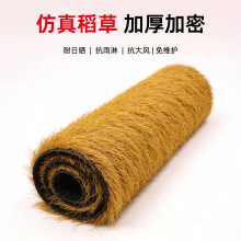 ����é�ݑ�������ͥԺ����r�Ҹ�����������⠝���b�ˮé��