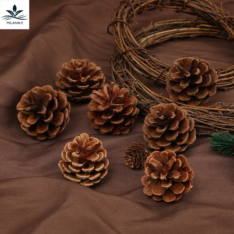 Milan natural flor seca cono de pino de Navidad árbol de Navidad material de decoración bricolaje paquete flor eterna ramo de algodón embalaje