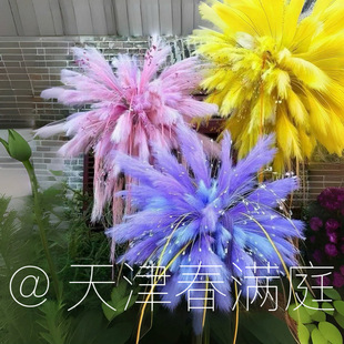 �����ȸ�ݻ�c�JȔ���՟�������JȔ��ë�ݷ��滨�������ñ���