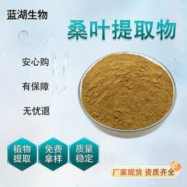 桑叶提取物多规格 蓝创生物 工厂支持代加工桑叶粉资质齐全