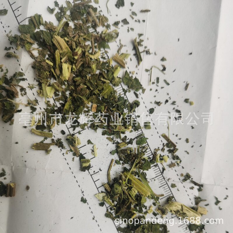 Wholesale supply of high quality agricultural products Chinese herbal medicine raw material nettle leaf substitute tea bag raw material nettle leaf