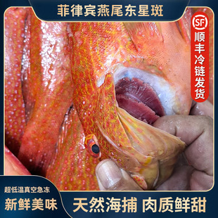 ��β�|�ǰ߼t�߻����ʯ���~��������e��β�|�ǰߴ����Ƶ����l