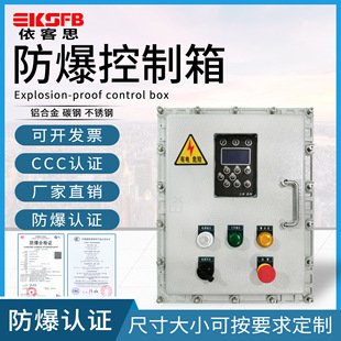Bxk Aluminum Alloy Explosion-Proof Button Control Box Operation Box Stainless Steel Temperature Control Instrument Distribution Box Waterproof