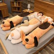 ���1.5m����ë�����ſ���ѧ������˯������Ů�������ﳧ��ֱ��