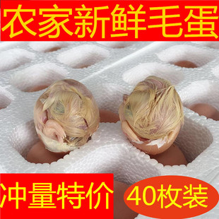 ���� 40ö�b �r�����r ë�� �u�ߵ� ë�u�� ϲ�����u�� �P�˵�