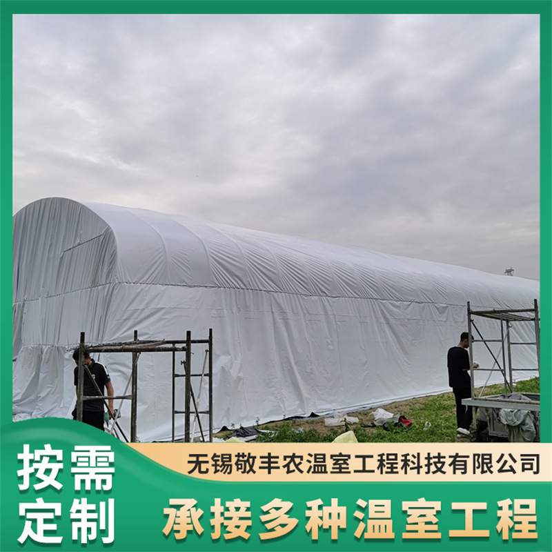 Single-Unit Greenhouse with Solar Film, Smart Greenhouse with Long Service Life and Resistance to Wind and Snow Single-Unit Greenhouse with Solar Film, Smart Greenhouse with Long Service Life and Resistance to Wind and Snow