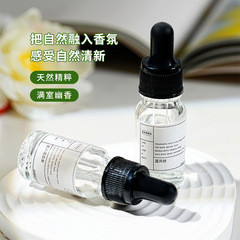アロマオイル加湿器専用家庭用持続的室内留香水溶性結晶石アロマ石膏香掛精油