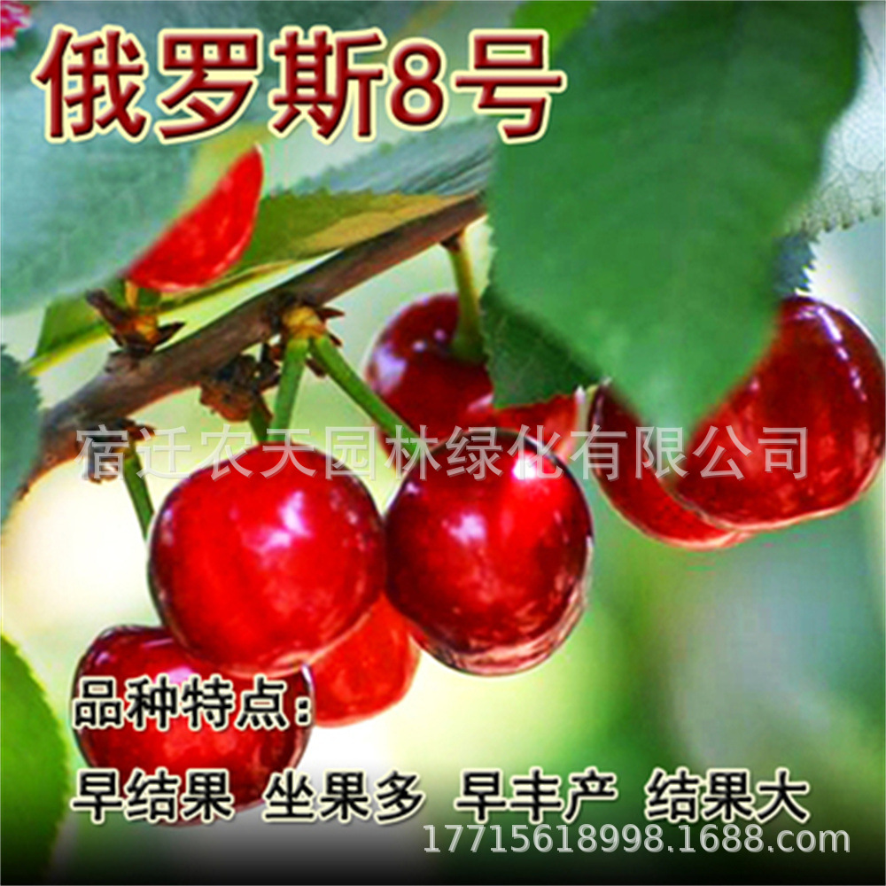 O1CN01Q1klM61bXb1ylPukr_!!2206