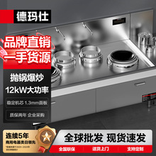 德玛仕 商用大锅灶12/15KW大功率酒店学校食堂双头双尾小炒汤炉