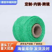 跨境尼龙涤纶包装线三股线编织线彩色pp绳轴线卡盘包装绳pe塑料绳