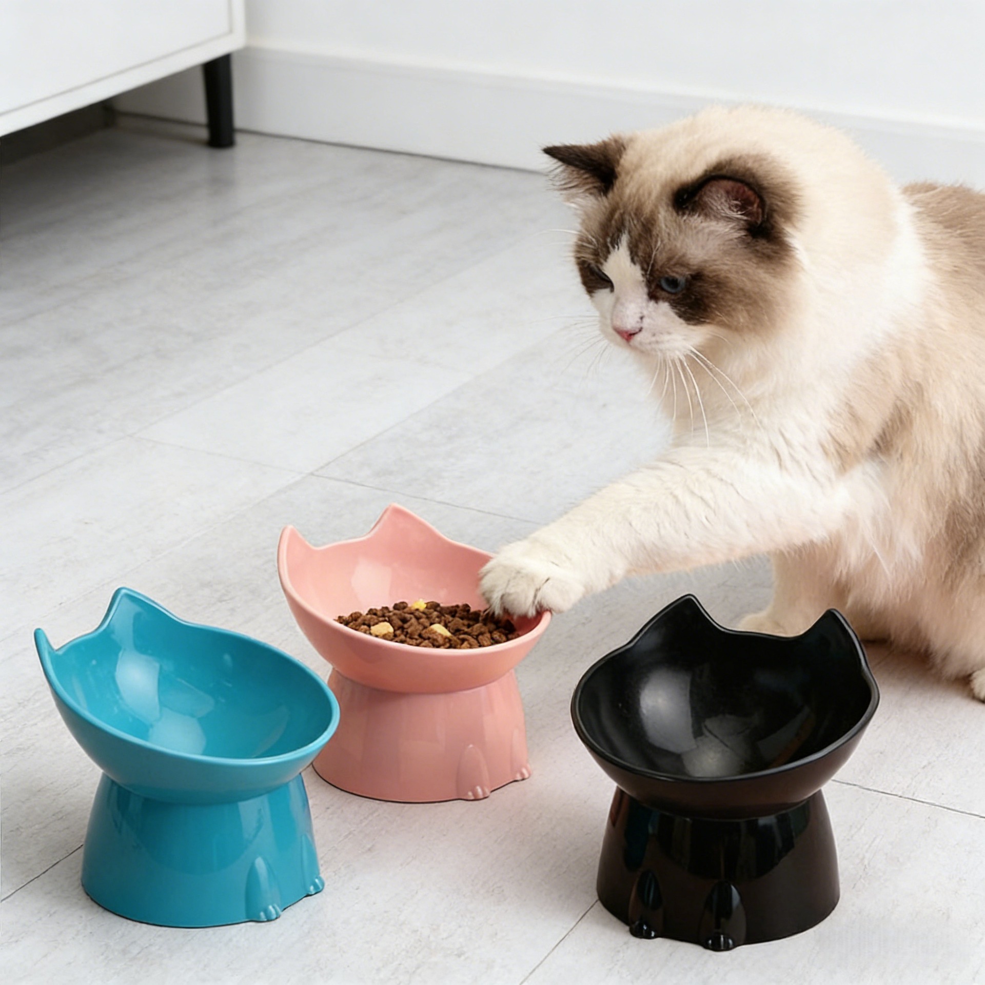 Cocos para mascotas de boca inclinada para gatos y perros, cuenco de alimentación para gatos, cuenco de arroz para gatos, cuenco de pies altos, cuenco de gatos al por mayor.