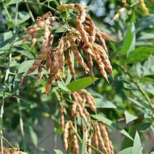 ľ���N�ј�N���^���� ���� ���� ���� �䶹 ���S���N�� �²ɷN��