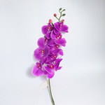 Моделирование бабочка орхидея моделирование 9 голов фаленопсис лента фаленопсис возможно выбрать больше цветов домой декоративный