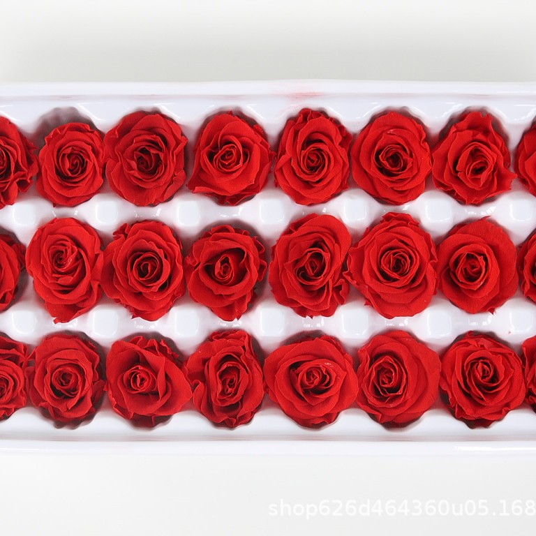 Flores inmortales Grado B 2 - 3cm rosas pequeñas flores frescas flores secas rosas DIY oso unicornio regalos de boda