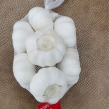 ɽ�|�������l4.5-6.cm��Ƥ���^������ȥƤ���|���x�GɫʳƷ���