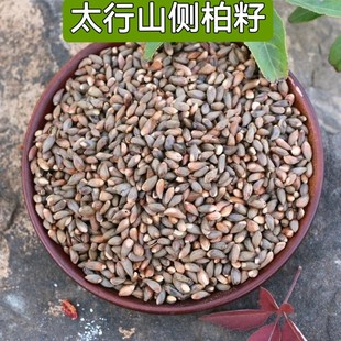 �Ȱ���1kg�ؘ��Ѱ��ӂȰع����N��Ұ���ؘ��Ѯ�����؛�������^