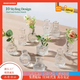 装饰花瓶;水培植物瓶