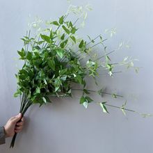 跨境仿真4叉金银花 铁线莲叶植物家居婚庆装饰藤蔓尤加利柳叶藤条