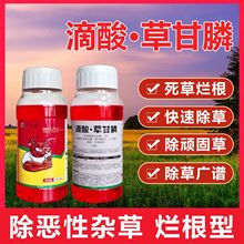 ţ ·ݸ32% Һ 1/ƿ ݄