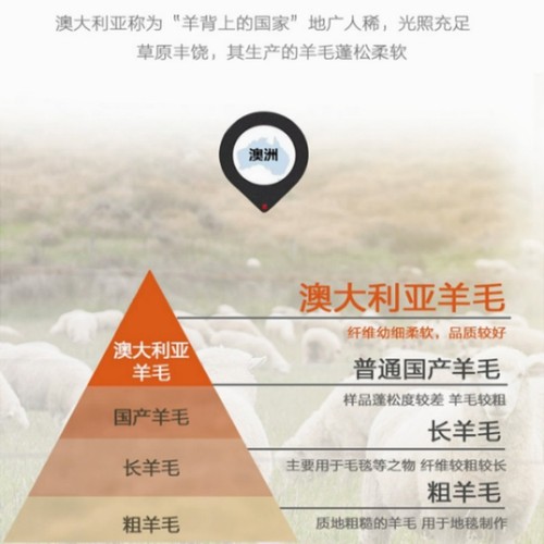 Australian cashmere blanket wool blanket 100% pure wool blanket core thick winter blanket spring and autumn blanket single air conditioner blanket