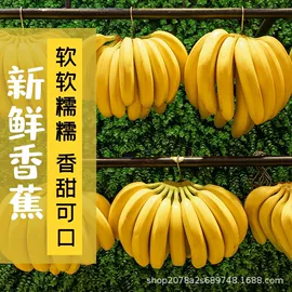 柚;番石榴/芭乐;香蕉