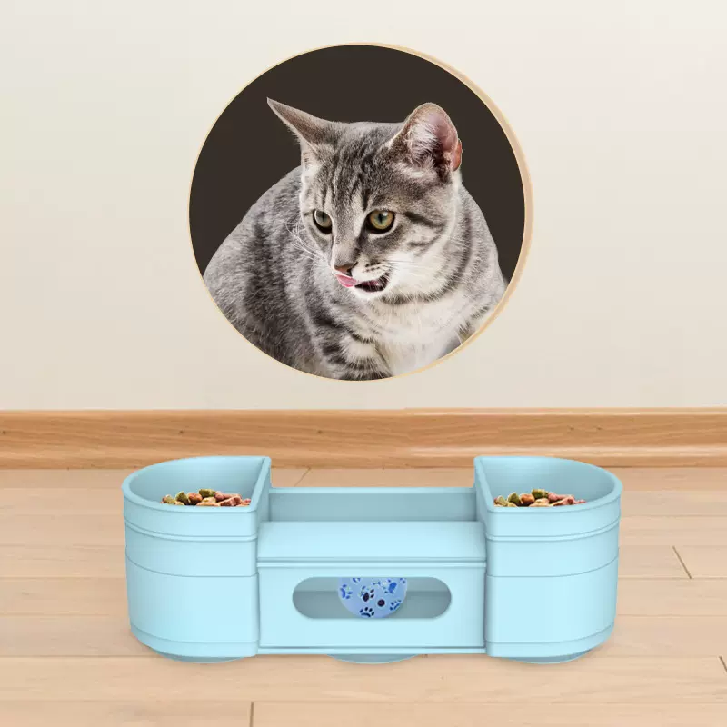 亚马逊热销猫玩具自嗨解闷神器猫咪碗食盆宠物互动游戏猫咪玩具