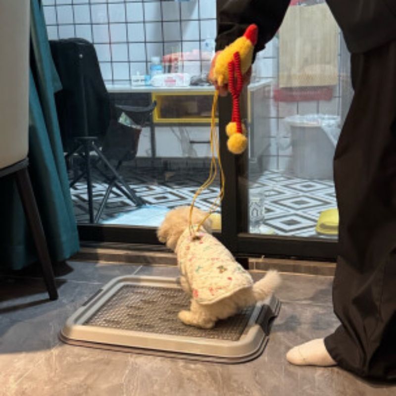 アリス犬トイレ便便器ペット便器グリッド小型犬子犬アリスフラット式犬トイレ