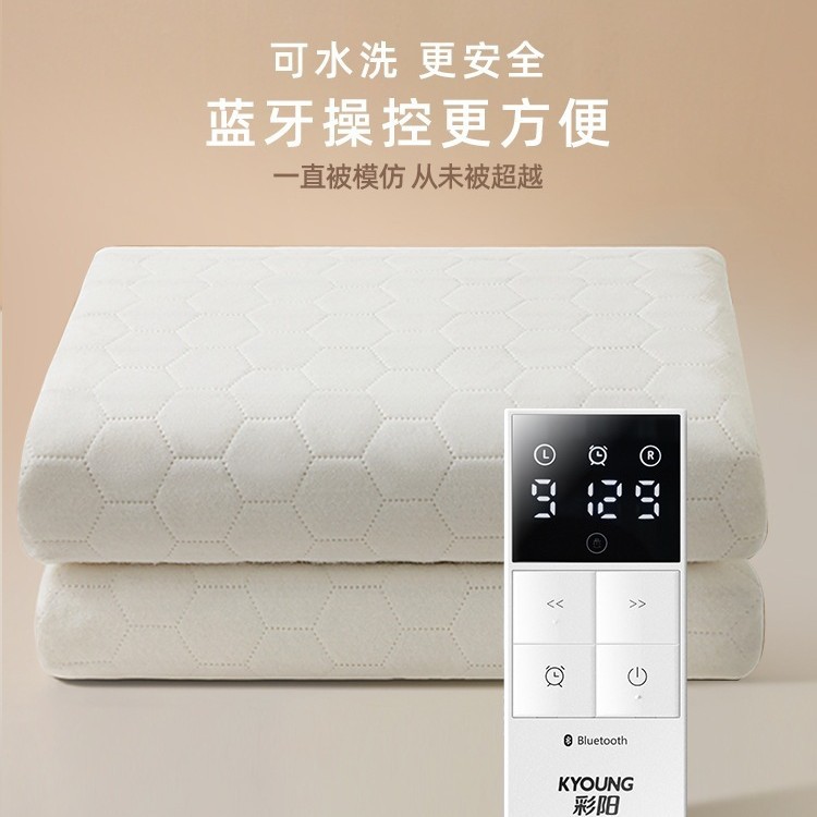 彩阳智能可水洗电热毯电褥子单人双人双控调温家用旗舰店