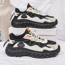 2024¿ʿ\Ь͸ٴWĥnϵЬeЬ