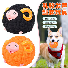 �羳�����������z�l�d�����˽␞������ߕ�푾d����������