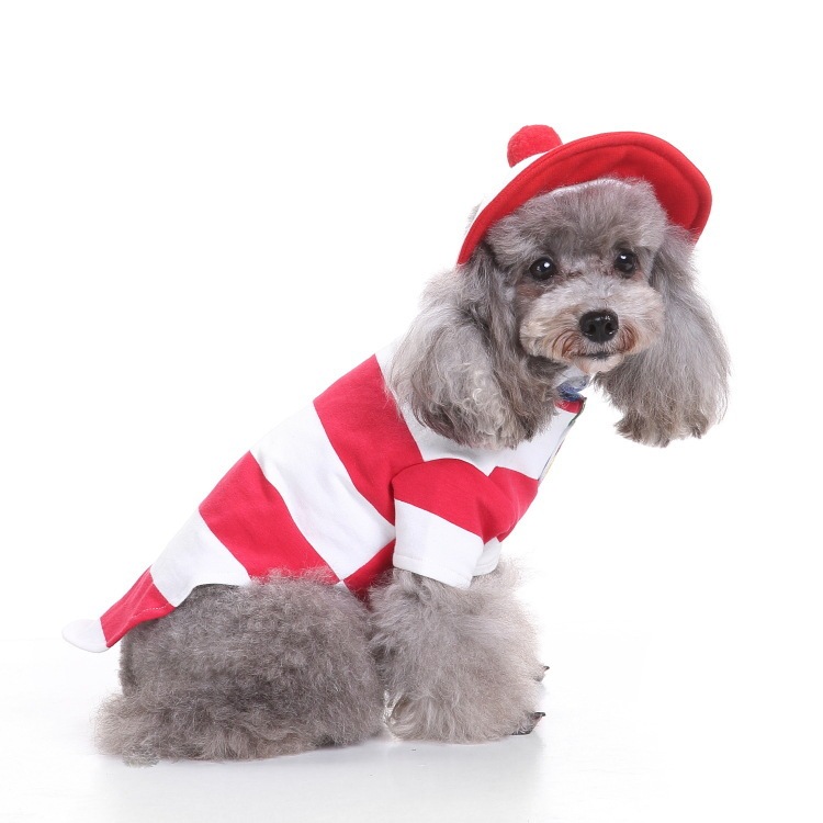 爆金犬ハロウィーンは服装をしている祝日を祝って、高強マジックはしわに強いペット服装をしている|undefined