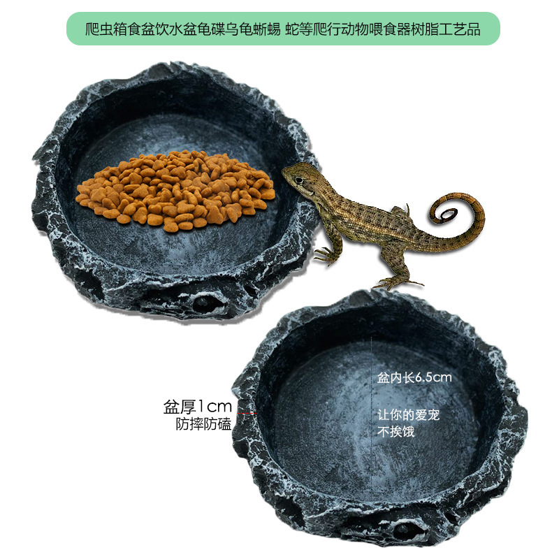 Crawler caja de comida tazón de fuente de bebida plato de tortuga lagarto serpiente y otros reptiles alimentador artesanías de resina
