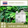 泰国护肤单方产地木精油