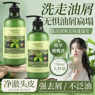 ���]����ɏ�ϙ�ϴ�lˮ��������ȥм�־�������ԡ¶�o�l�����b