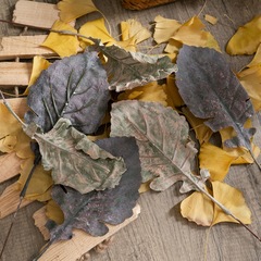 批發發泡漿葉片INS風仿真花廠家家居裝飾跨境婚慶假花YC1122