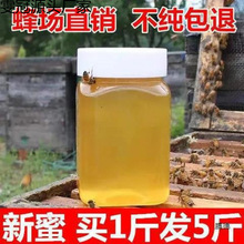 ������Ȼ�r���Ԯa�Y�������۰ٻ������ۗ�����500��1����b����