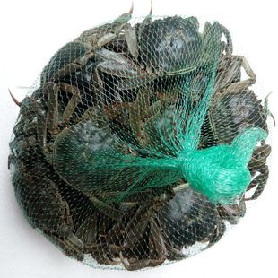 �I40ֻ��10ֻ���]һԪз��зСëз��ԪС�з�r���w���lз