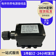 电伴热带防爆专用电源接线盒FBDH 220/380V电伴热二通接线盒