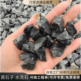 黑石子黑色砾石源头厂家批发园林景观工程造景装饰黑色水洗石碎石