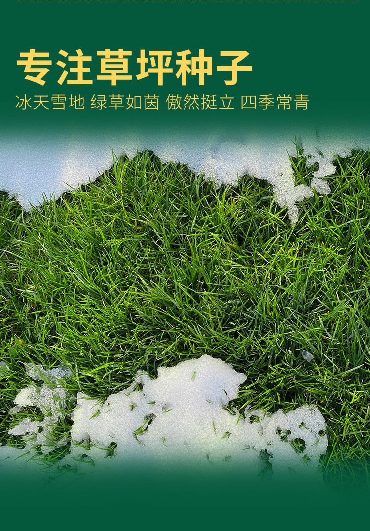 O1CN01CENFVl29pdcG5wHhe_!!2210