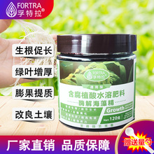 ø�⺣�徫��ͥ�@ˇ�����ۺ�����G�~���L�����̨�N���B���~���