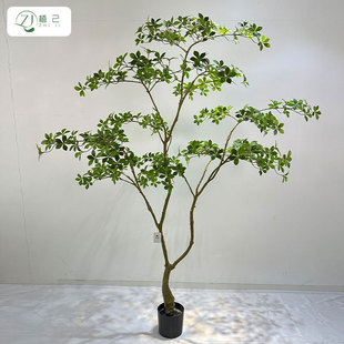 ����Gֲʮ�󹦄ں��u�����d�Ә�ֲ���쾰�Ҿ��҃ș����b�[��