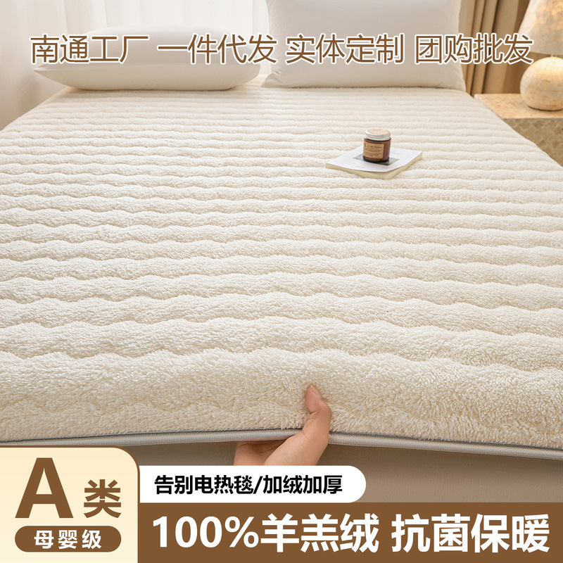 Class a Cashmere Mattress Home Soft Cushion Bedroom Mattress Winter Thickeneded Warm Dormitory Mat Quilt Tatami Mat