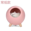 Cat (pink-conventional model)