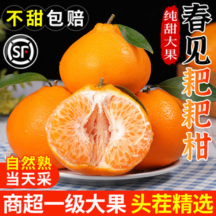 �Ĵ���Ҋ�ҰҸ�10�����r���Ӯ���ˮ�������θ̳�̽۴�����]