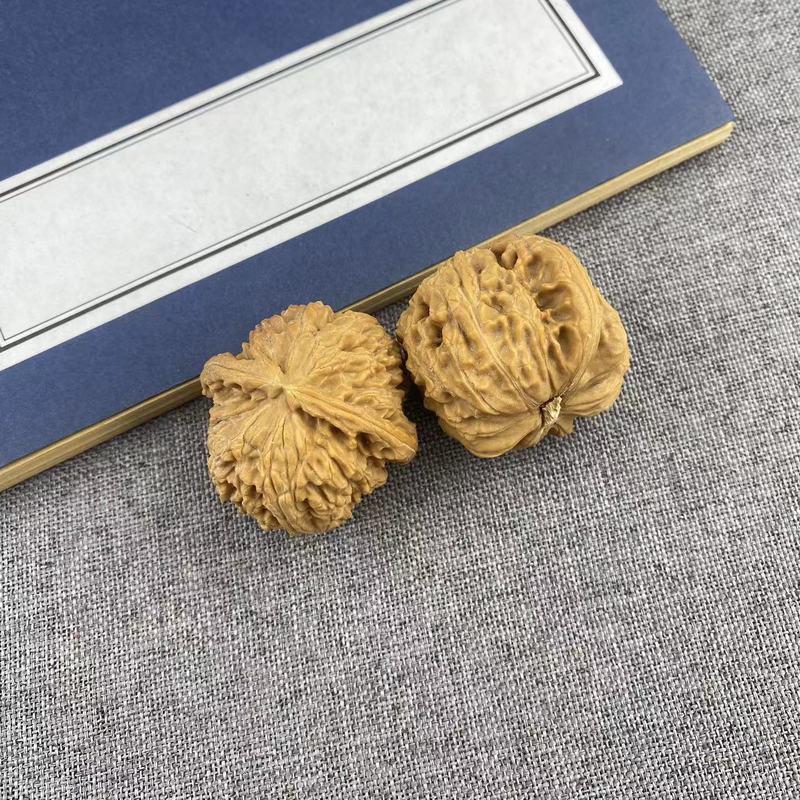 開背ヒキガエルの頭の文はクルミの低い杭を遊んで、先の古い木の延慶の金のヒキガエルの手は収集級の男女を遊んでクルミを遊びます。|undefined
