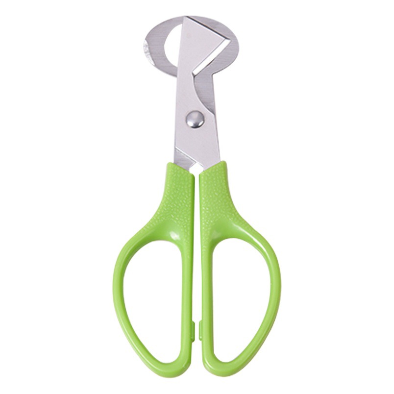 Práctico gadget de cocina huevo de codorniz de acero inoxidable corte de huevo nuevo huevo de pájaro nueva herramienta manual de pulido