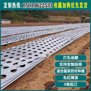 Hole Punch Mulch Film for Peanuts, Corn, Watermelon, Peppers, Vegetable Planting with Holes, Perforated Black Anti-Weed Agricultural Film